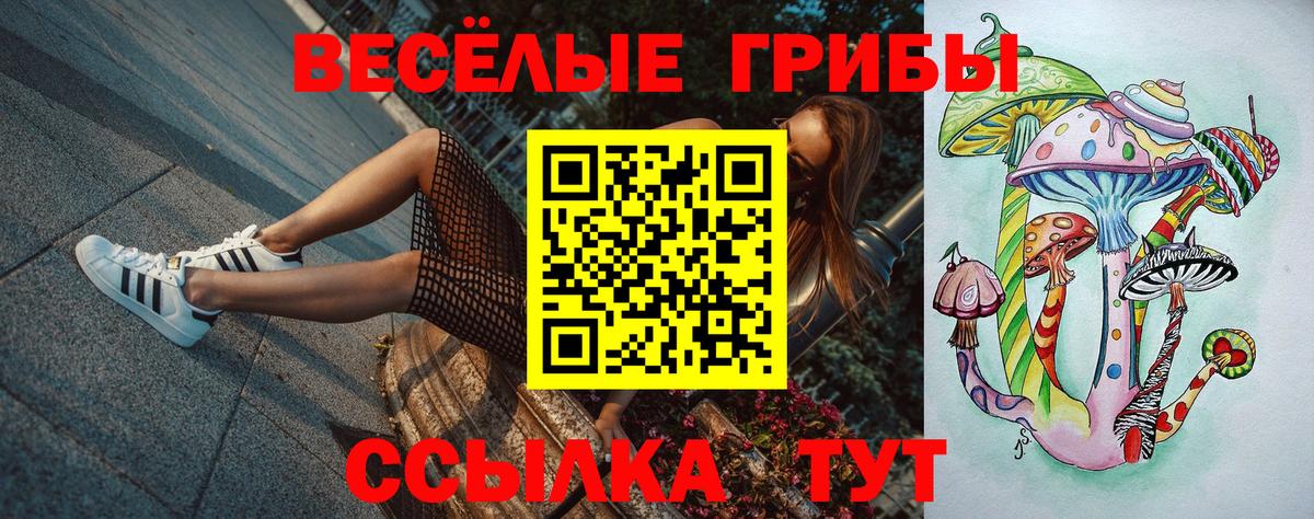 Галлюциногенные грибы Psilocybe Татарск